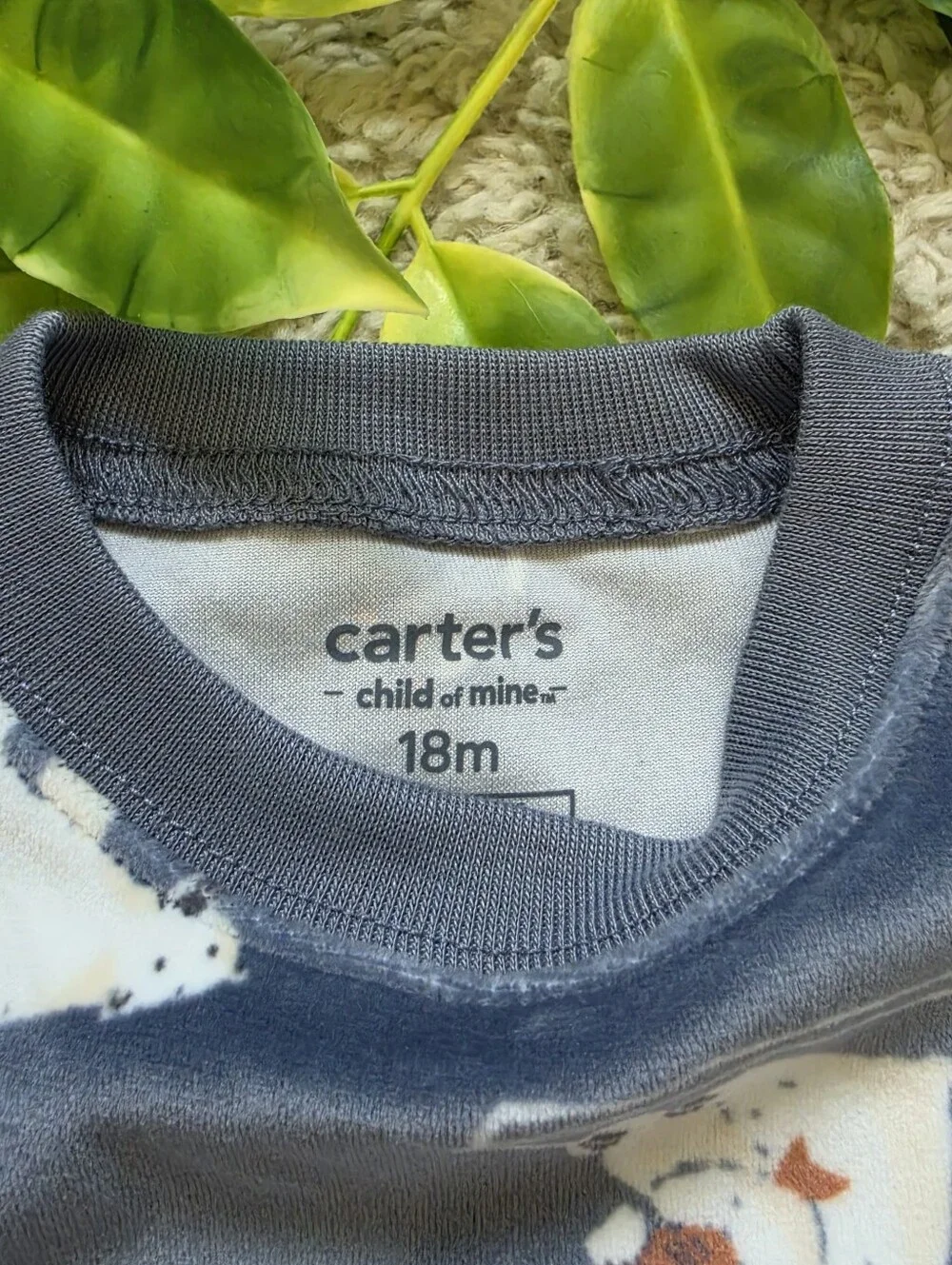 Carters bnwot how